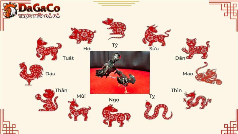 Bật mí bí quyết xem ngày đá gà chuẩn nhất từ sư kê
