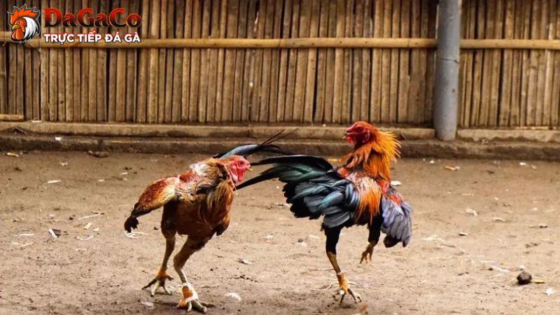 Cách sử dụng đồ bảo hộ hiệu quả nhất