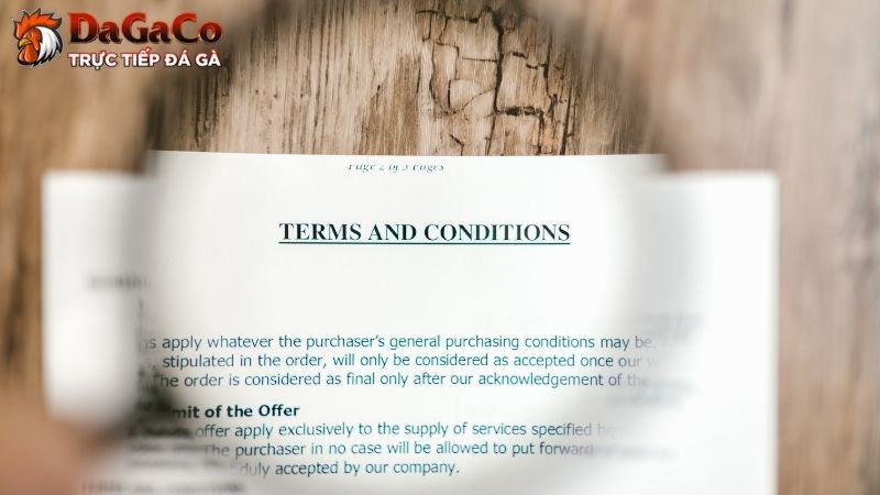Cập nhật điều khoản & điều kiện tại DagaCO cho người mới
