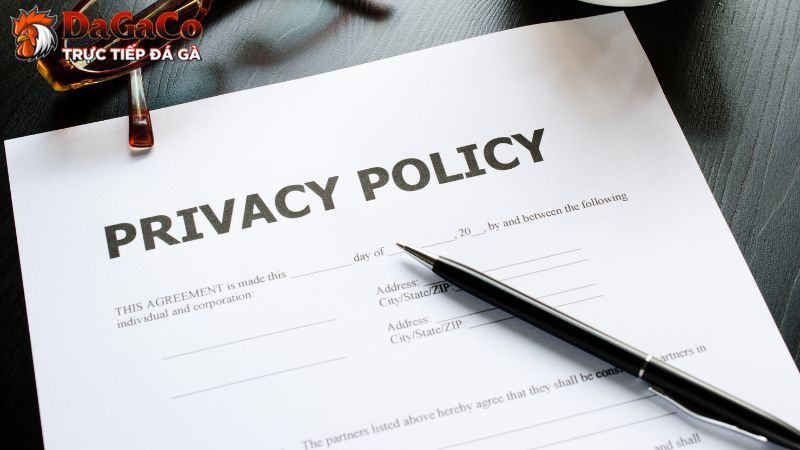 Chi tiết nội dung của chính sách bảo mật DagaCO