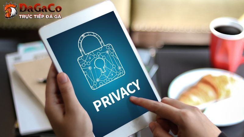 Chính sách bảo mật DagaCO là gì?
