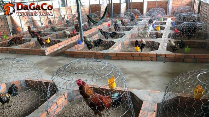 Cơ sở chăn nuôi