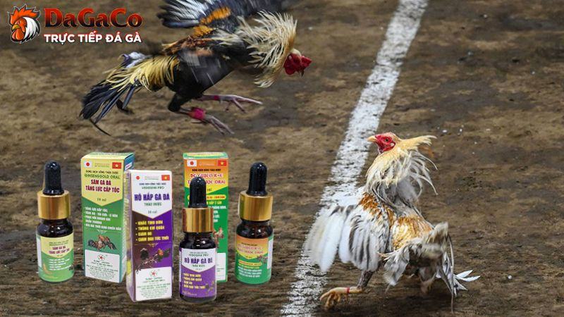 Công dụng hữu ích của thuốc gà đá