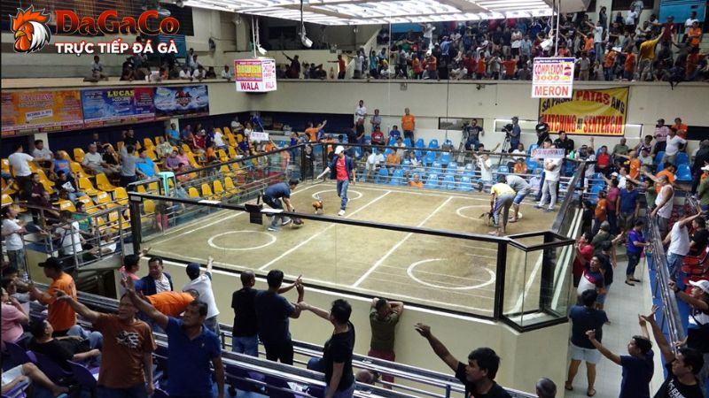 Giới thiệu DagaCO