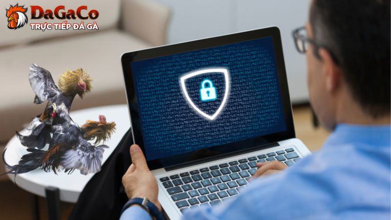 Nghĩa vụ của người chơi đối với chính sách bảo mật tại DagaCO