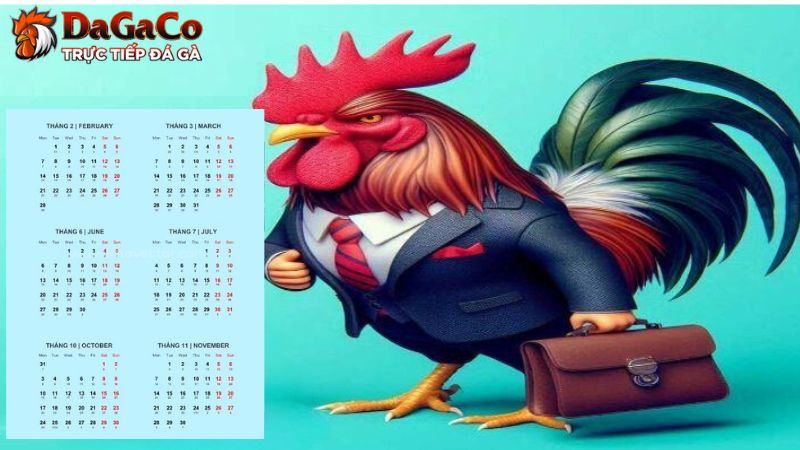 Những lưu ý khi xem ngày đá gà nên biết