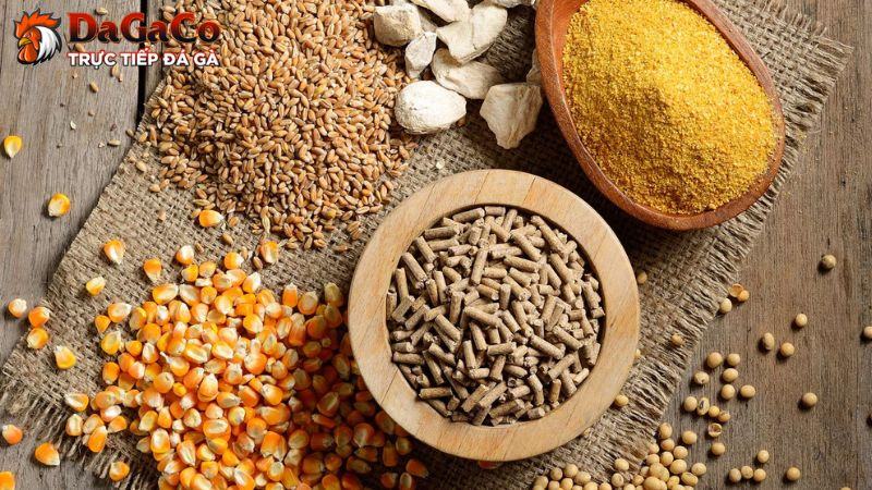 Thức ăn chính cho gà đá