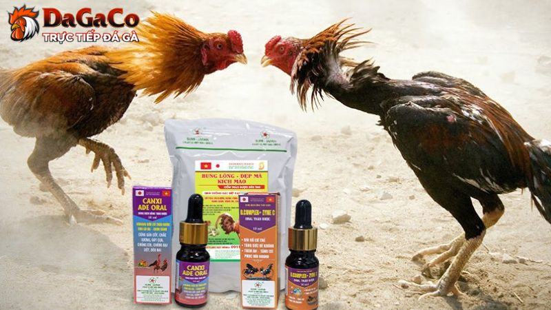 Thuốc gà đá là gì?