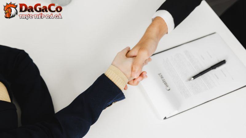 Trách nhiệm và quyền của DagaCO trong chính sách