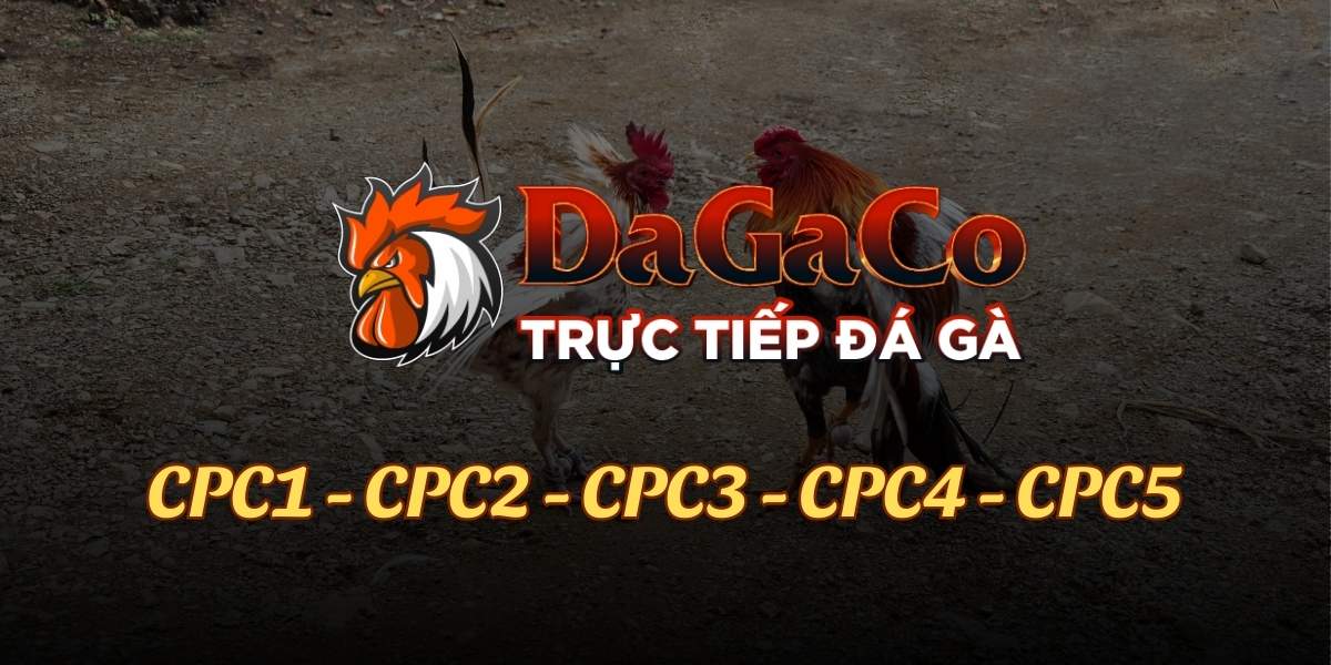 Dagatructiep CO - Hành Trình Kiến Tạo Cộng Đồng Đá Gà Trực Tuyến Đẳng Cấp